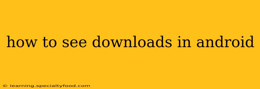 how to see downloads in android