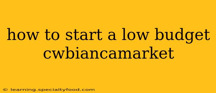 how to start a low budget cwbiancamarket
