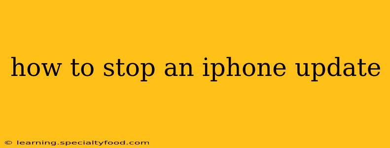 how to stop an iphone update