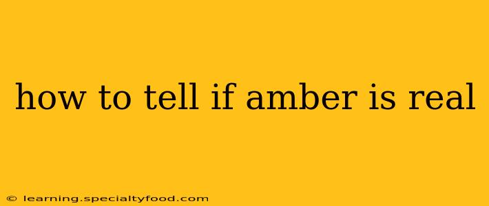 how to tell if amber is real