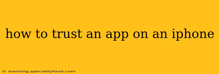 how to trust an app on an iphone