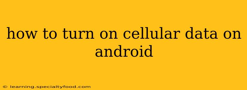 how to turn on cellular data on android