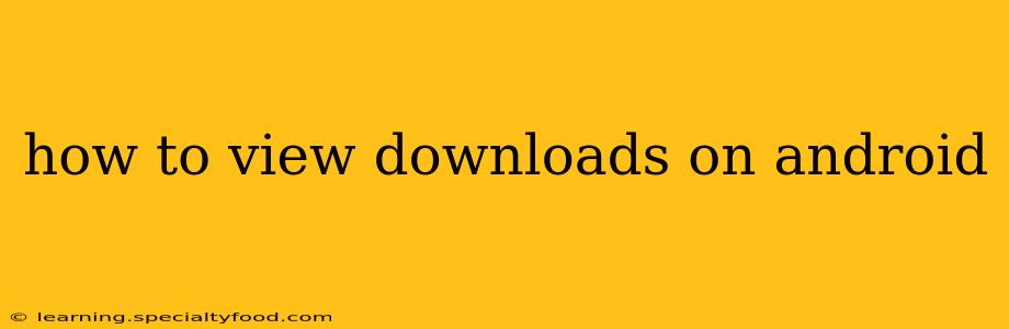 how to view downloads on android