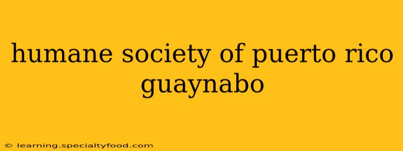 humane society of puerto rico guaynabo