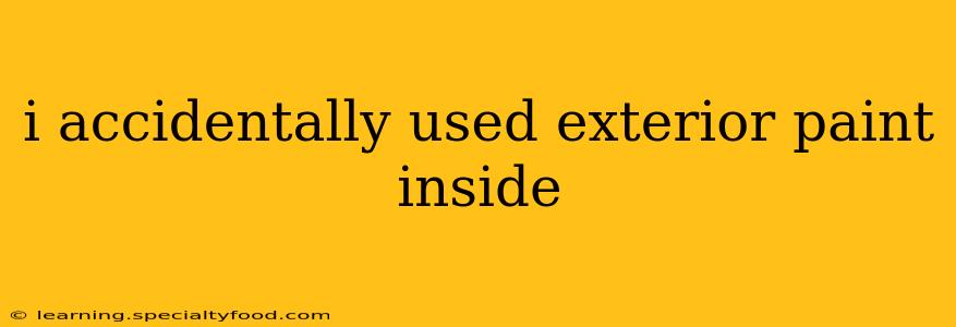 i accidentally used exterior paint inside