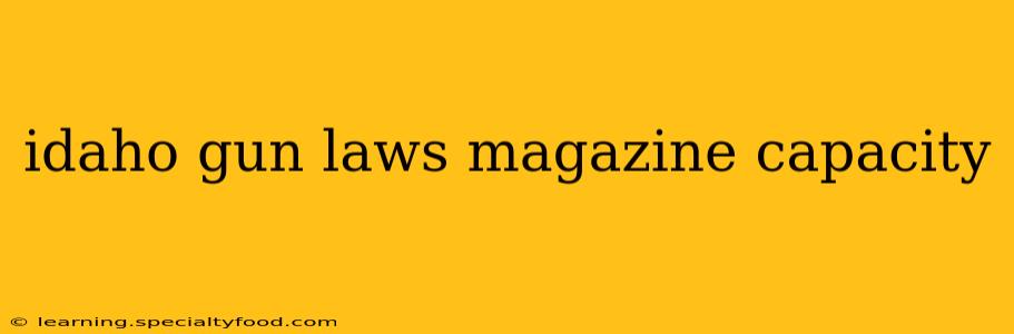 idaho gun laws magazine capacity