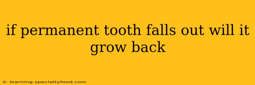 if permanent tooth falls out will it grow back