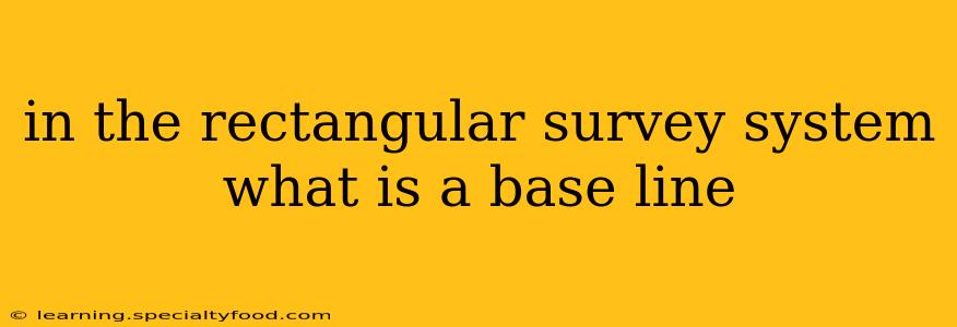 in the rectangular survey system what is a base line