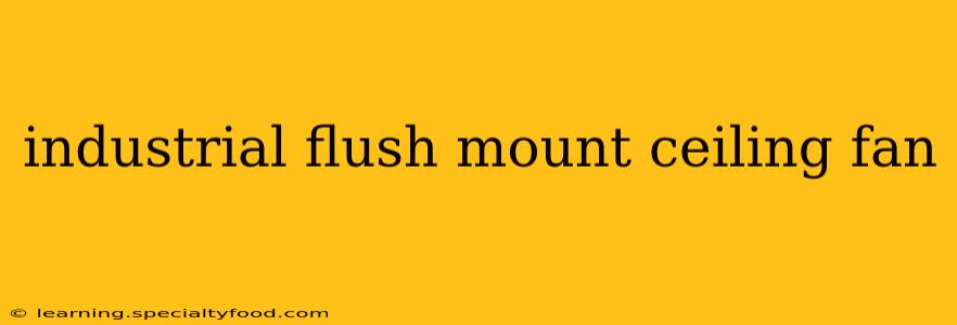 industrial flush mount ceiling fan