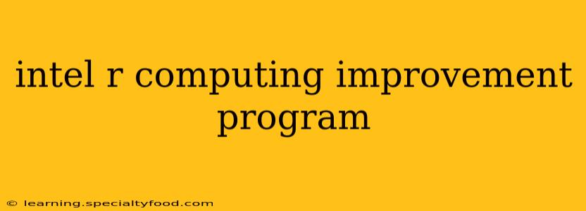 intel r computing improvement program