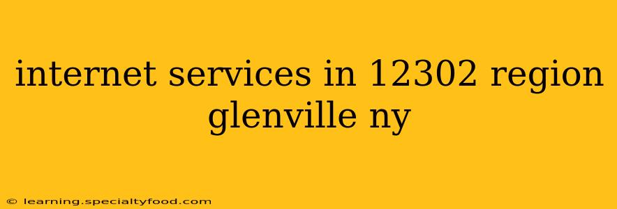 internet services in 12302 region glenville ny