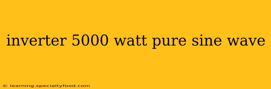 inverter 5000 watt pure sine wave