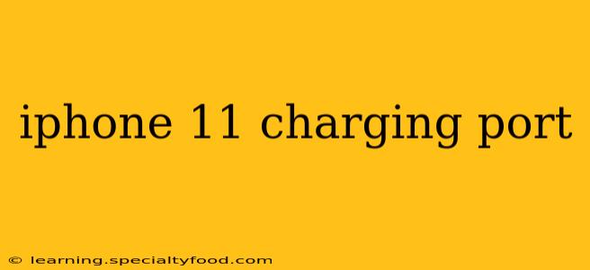 iphone 11 charging port