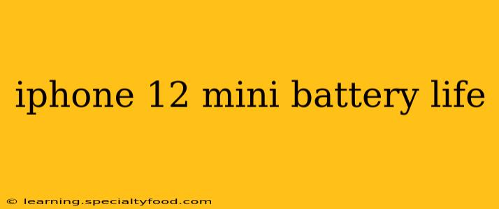 iphone 12 mini battery life