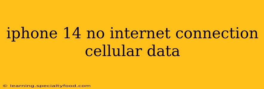 iphone 14 no internet connection cellular data