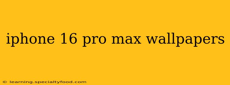 iphone 16 pro max wallpapers