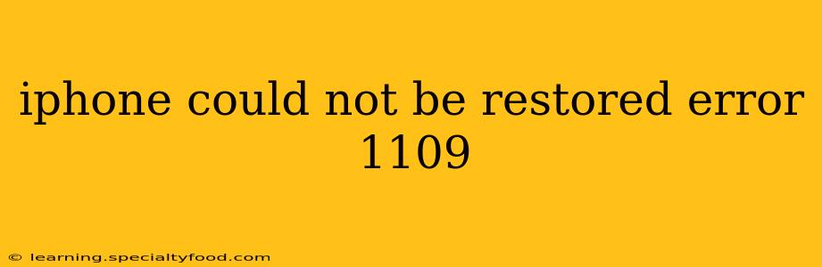 iphone could not be restored error 1109
