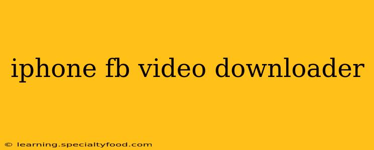 iphone fb video downloader