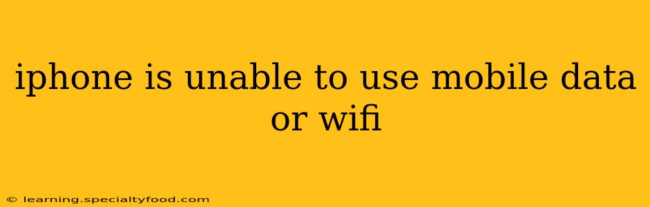iphone is unable to use mobile data or wifi