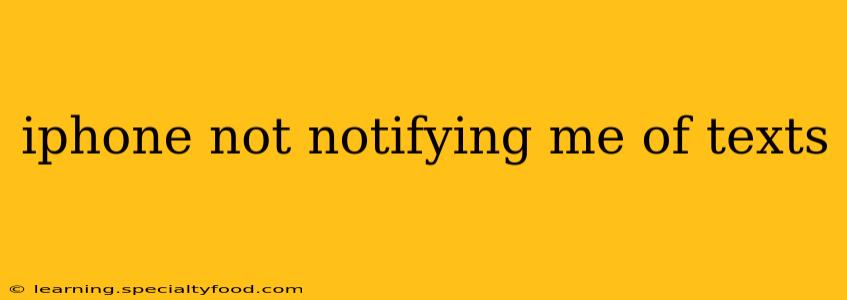 iphone not notifying me of texts