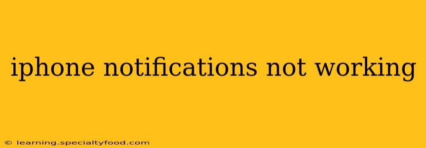 iphone notifications not working