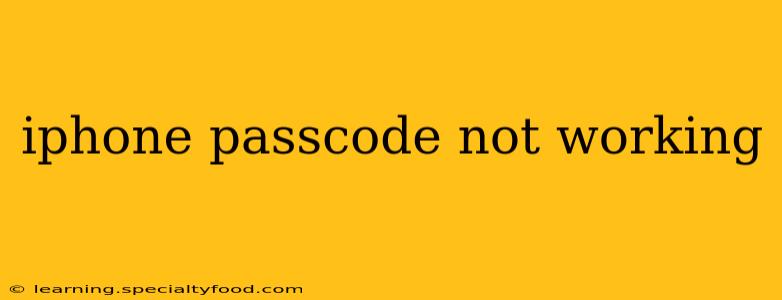 iphone passcode not working