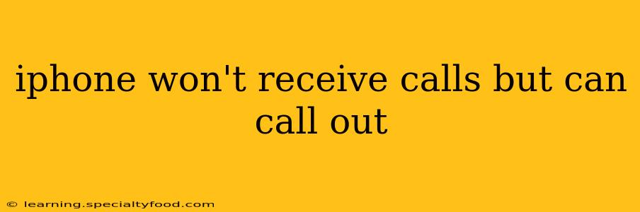 iphone won't receive calls but can call out