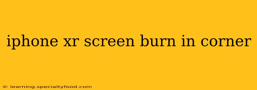 iphone xr screen burn in corner