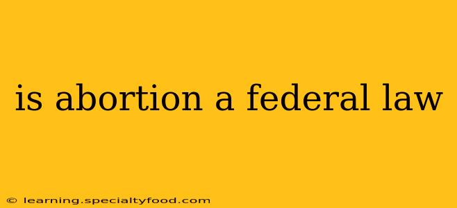 is abortion a federal law