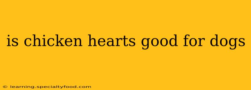 is chicken hearts good for dogs