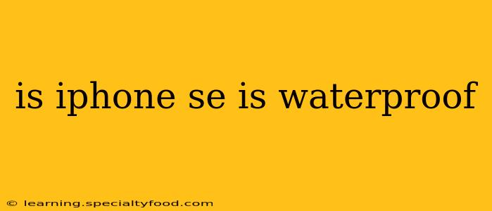 is iphone se is waterproof