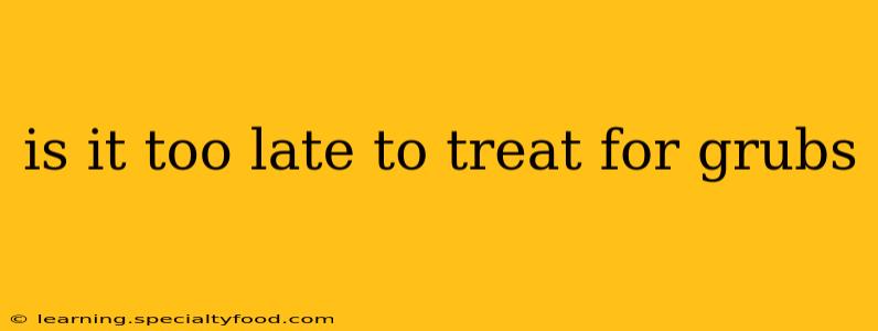 is it too late to treat for grubs