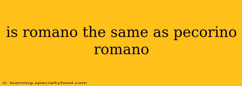 is romano the same as pecorino romano
