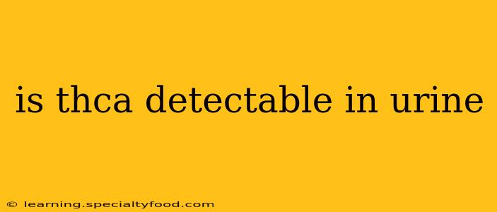 is thca detectable in urine