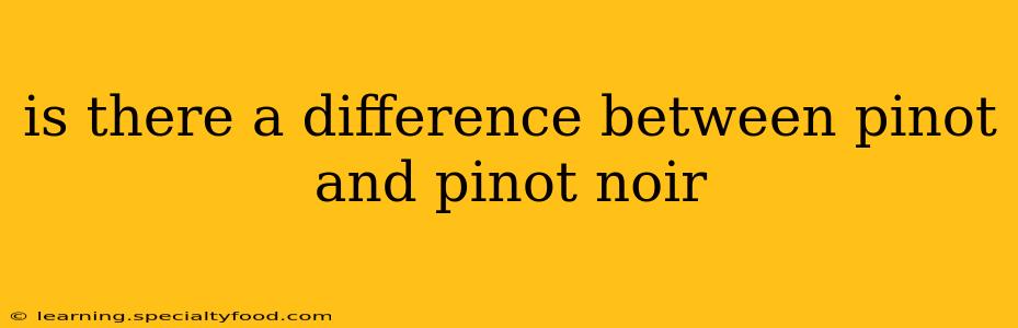 is there a difference between pinot and pinot noir