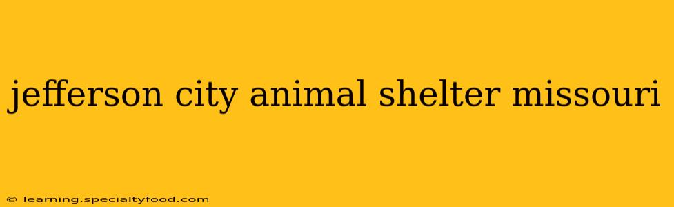 jefferson city animal shelter missouri