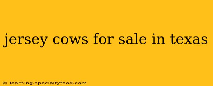 jersey cows for sale in texas