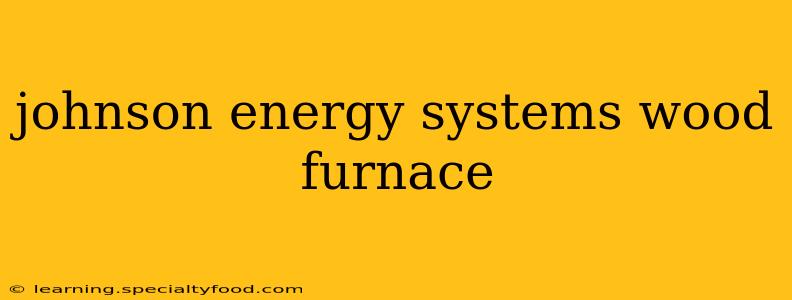 johnson energy systems wood furnace