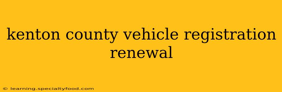kenton county vehicle registration renewal