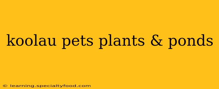 koolau pets plants & ponds