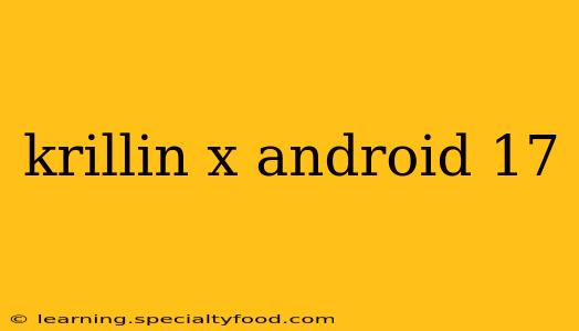 krillin x android 17