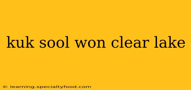 kuk sool won clear lake
