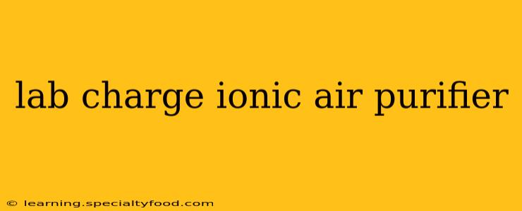 lab charge ionic air purifier
