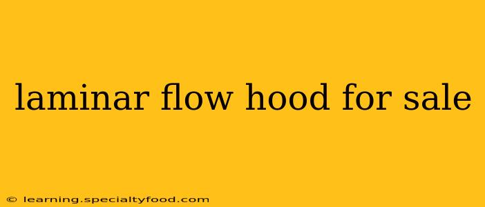 laminar flow hood for sale