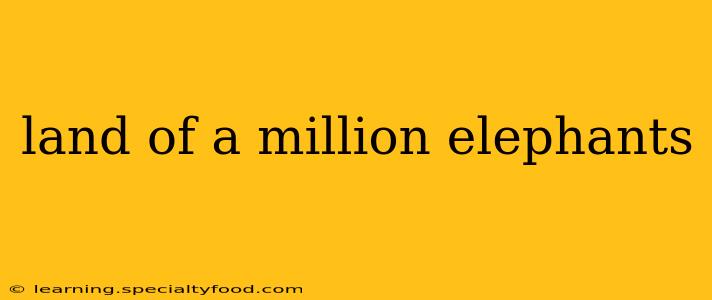 land of a million elephants