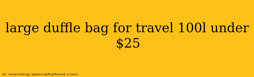 large duffle bag for travel 100l under $25