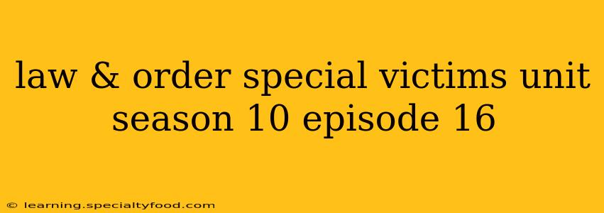 law & order special victims unit season 10 episode 16