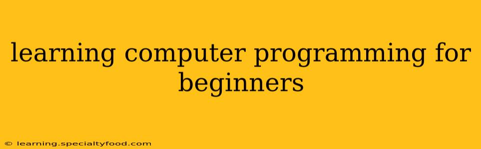 learning computer programming for beginners