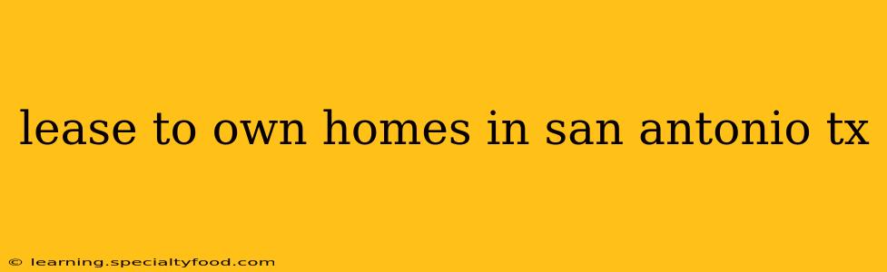 lease to own homes in san antonio tx
