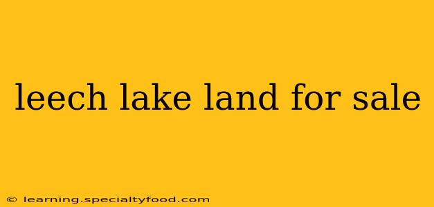 leech lake land for sale